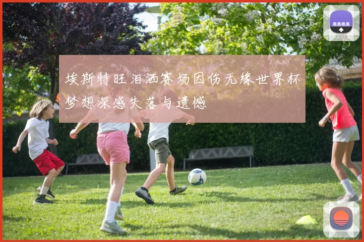 埃斯特旺泪洒赛场因伤无缘世界杯梦想深感失落与遗憾